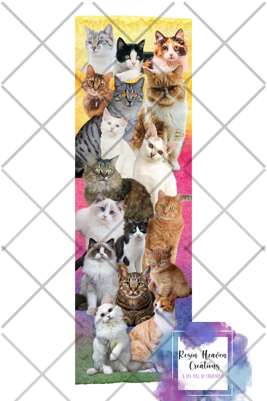 Printed waterslide 0219