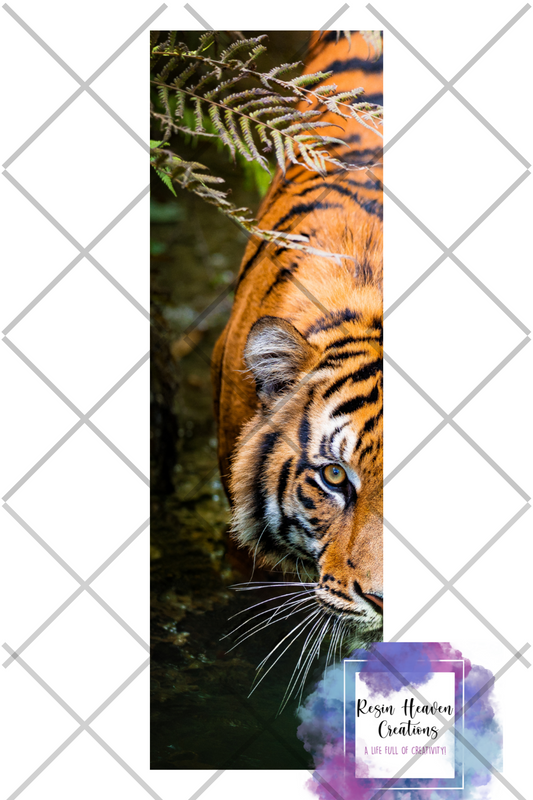 Printed waterslide 0223