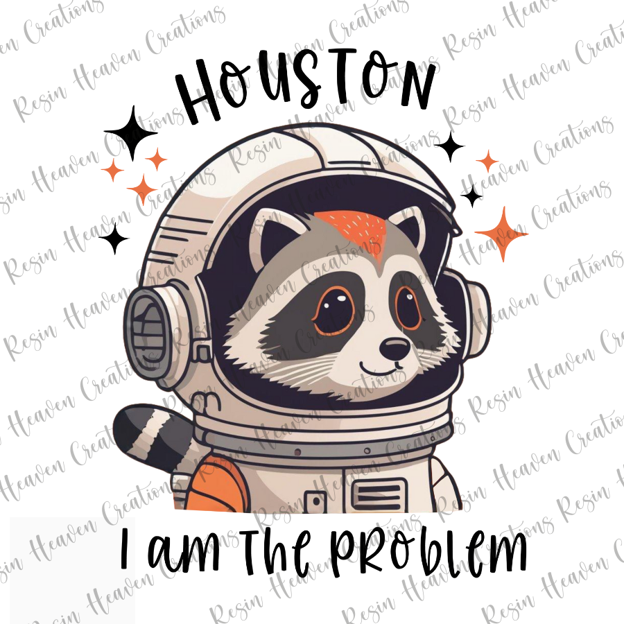 Houston I am the problem (Decal Set)