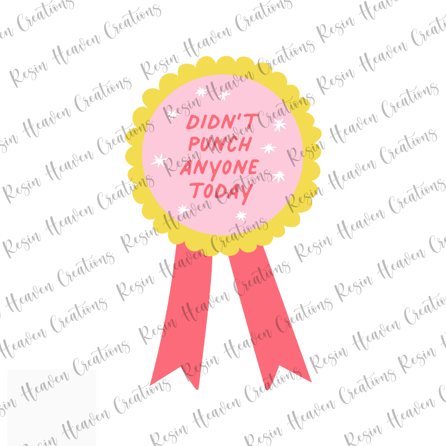 DIDNT PUNCH ANYONE TODAY (Decal Set)