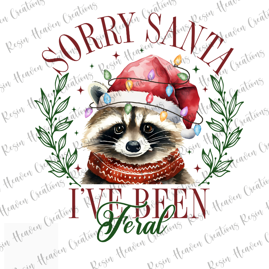 SORRY SANTA (Decal Set)