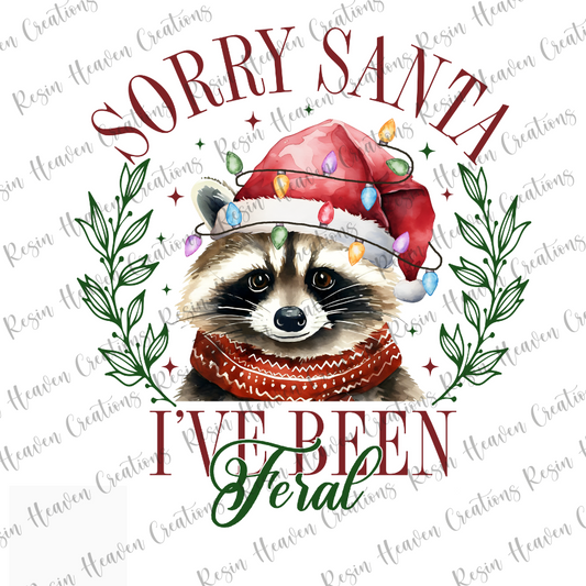SORRY SANTA (Decal Set)