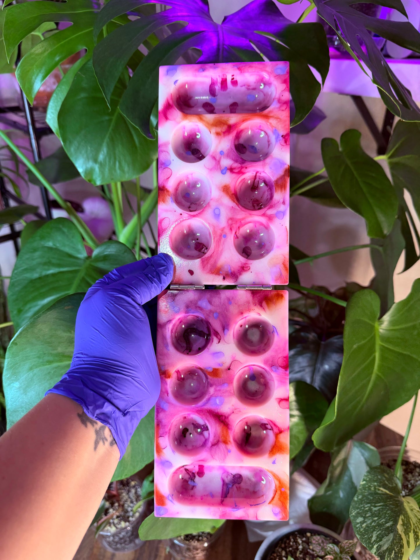 READY to SHIP Mancala Board