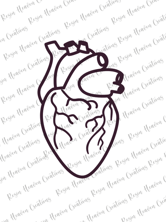 Anatomical Heart (keychain or badge reel)