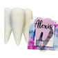 Dental Tooth Badge Reel